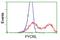 Pyrroline-5-Carboxylate Reductase 3 antibody, NBP2-03337, Novus Biologicals, Flow Cytometry image 