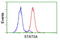 Signal Transducer And Activator Of Transcription 5A antibody, LS-C172876, Lifespan Biosciences, Flow Cytometry image 