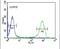 Decapping MRNA 2 antibody, PA5-26190, Invitrogen Antibodies, Flow Cytometry image 