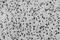Neuronal PAS Domain Protein 4 antibody, 73-395, Antibodies Incorporated, Immunohistochemistry frozen image 