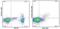 FOXP3 antibody, 53-4776-41, Invitrogen Antibodies, Flow Cytometry image 