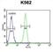 Pleckstrin Homology Domain Containing A4 antibody, abx026435, Abbexa, Immunohistochemistry frozen image 
