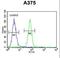 Deoxyribose-Phosphate Aldolase antibody, LS-C167366, Lifespan Biosciences, Flow Cytometry image 