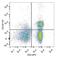 C-C Motif Chemokine Receptor 7 antibody, LS-C811715, Lifespan Biosciences, Flow Cytometry image 