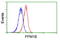 Protein Phosphatase, Mg2+/Mn2+ Dependent 1B antibody, LS-C172950, Lifespan Biosciences, Flow Cytometry image 