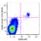 Neuropilin 1 antibody, 354522, BioLegend, Flow Cytometry image 