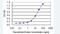 E2F Transcription Factor 3 antibody, H00001871-M04-100ug, Novus Biologicals, Western Blot image 