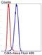 Cyclin Dependent Kinase 5 antibody, NBP2-67319, Novus Biologicals, Flow Cytometry image 