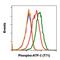 Activating Transcription Factor 2 antibody, MA5-27992, Invitrogen Antibodies, Flow Cytometry image 