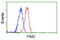 Pim-2 Proto-Oncogene, Serine/Threonine Kinase antibody, GTX83892, GeneTex, Flow Cytometry image 