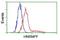 Heterogeneous Nuclear Ribonucleoprotein F antibody, NBP2-02221, Novus Biologicals, Flow Cytometry image 