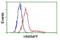 Heterogeneous Nuclear Ribonucleoprotein F antibody, NBP2-02221, Novus Biologicals, Flow Cytometry image 