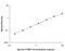 Cartilage Oligomeric Matrix Protein antibody, DCMP0, R&D Systems, Enzyme Linked Immunosorbent Assay image 