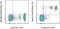 C-Type Lectin Domain Containing 7A antibody, 46-5859-80, Invitrogen Antibodies, Flow Cytometry image 