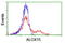 Arachidonate 15-Lipoxygenase antibody, LS-B12236, Lifespan Biosciences, Flow Cytometry image 