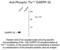 Protein Phosphatase 1 Regulatory Inhibitor Subunit 1B antibody, 50-115, ProSci, Western Blot image 