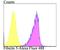 Fibulin 5 antibody, NBP2-76929, Novus Biologicals, Flow Cytometry image 