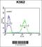 Apolipoprotein L6 antibody, 55-042, ProSci, Flow Cytometry image 