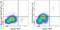 C-Type Lectin Domain Containing 9A antibody, 46-3709-41, Invitrogen Antibodies, Flow Cytometry image 