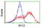 Replication Factor C Subunit 2 antibody, LS-C175219, Lifespan Biosciences, Flow Cytometry image 