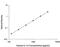 Interleukin 13 antibody, D1300B, R&D Systems, Enzyme Linked Immunosorbent Assay image 