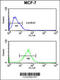 Small Nuclear Ribonucleoprotein D3 Polypeptide antibody, 63-872, ProSci, Flow Cytometry image 