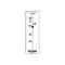 Solute Carrier Family 13 Member 5 antibody, OAAB02159, Aviva Systems Biology, Western Blot image 