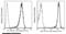 Cell surface glycoprotein MUC18 antibody, 10115-R044-P, Sino Biological, Flow Cytometry image 