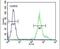 Kinesin Light Chain 3 antibody, PA5-25268, Invitrogen Antibodies, Flow Cytometry image 