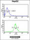 Lactate Dehydrogenase D antibody, 62-026, ProSci, Flow Cytometry image 