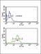 Endothelin B receptor antibody, GTX17408, GeneTex, Flow Cytometry image 