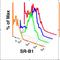 Scavenger Receptor Class B Member 1 antibody, NB400-104R, Novus Biologicals, Flow Cytometry image 