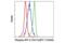 Activating Transcription Factor 2 antibody, 15411S, Cell Signaling Technology, Flow Cytometry image 