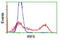 Interferon Regulatory Factor 6 antibody, TA503382, Origene, Flow Cytometry image 