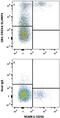 CD244 Molecule antibody, PA5-47050, Invitrogen Antibodies, Flow Cytometry image 