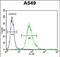 Sciellin antibody, PA5-71552, Invitrogen Antibodies, Flow Cytometry image 