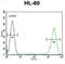 Prothymosin Alpha antibody, abx026432, Abbexa, Flow Cytometry image 