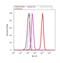 Serum response factor antibody, 720240, Invitrogen Antibodies, Flow Cytometry image 