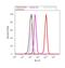 Serum Response Factor antibody, 720240, Invitrogen Antibodies, Flow Cytometry image 