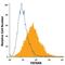 Tetraspanin 8 antibody, FAB6524P, R&D Systems, Flow Cytometry image 