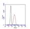 Egl-9 Family Hypoxia Inducible Factor 1 antibody, GTX10930, GeneTex, Flow Cytometry image 