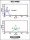 Exocyst Complex Component 5 antibody, 63-741, ProSci, Flow Cytometry image 