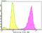 BUB3 Mitotic Checkpoint Protein antibody, NBP2-75424, Novus Biologicals, Flow Cytometry image 