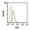 TNF Receptor Superfamily Member 11b antibody, NB100-56505, Novus Biologicals, Flow Cytometry image 