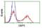 Guanylate Binding Protein 5 antibody, NBP2-03468, Novus Biologicals, Flow Cytometry image 