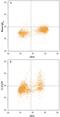 IL-12 antibody, MAB17161, R&D Systems, Flow Cytometry image 