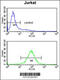 Propionyl-CoA Carboxylase Subunit Beta antibody, 63-665, ProSci, Flow Cytometry image 