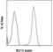 Cadherin 5 antibody, 13-1441-80, Invitrogen Antibodies, Flow Cytometry image 