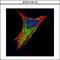 Keratin 17 antibody, GTX114112, GeneTex, Immunofluorescence image 