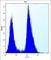 Thyroid Hormone Receptor Interactor 13 antibody, abx026930, Abbexa, Western Blot image 